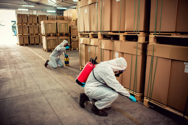 Best Pest Prevention Services  in Ramseur, NC