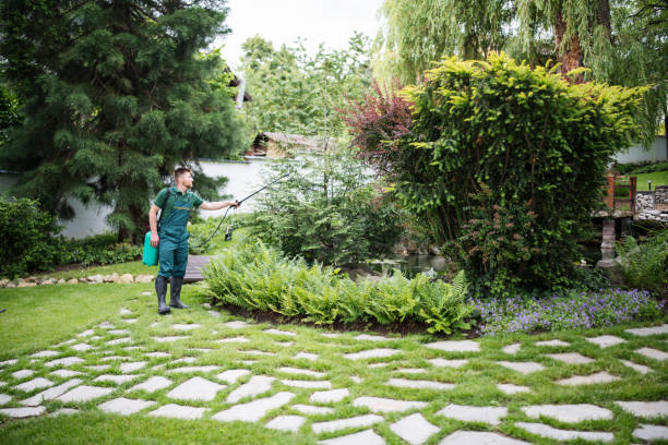 Reliable Ramseur, NC Pest Control Solutions