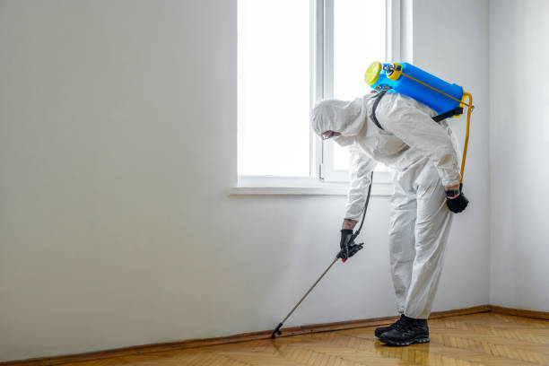 Best Pest Inspection Near Me  in Ramseur, NC
