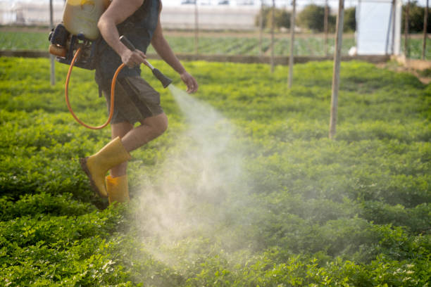 Best Residential Pest Control  in Ramseur, NC