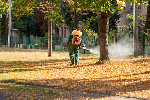 Best Pest Prevention Services  in Ramseur, NC