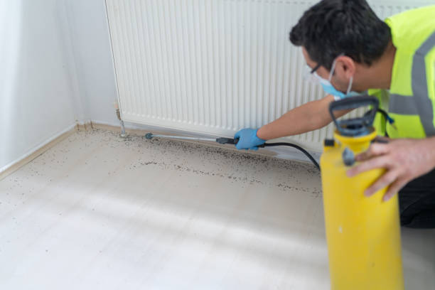 Best Emergency Pest Control  in Ramseur, NC
