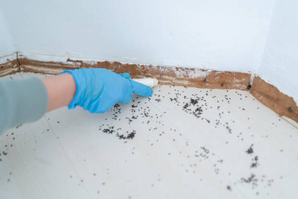 Best Bed Bug Extermination  in Ramseur, NC