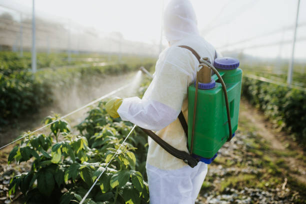 Best Termite Control Services  in Ramseur, NC